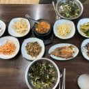 우성카도크 네이버블로그
