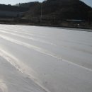 화산농장2 Daum카페