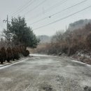[국도17] 진천군 도하리 - 3799 | [국도17] 진천군 도하리
