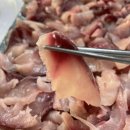 전주현지인맛집 에덴수산 향어회 향보탕구매후기