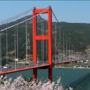 영구 태양광발전소 이미지