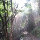 대티골계곡 이미지