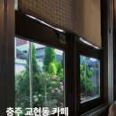 커피상점교동 | [충주 교현동 카페] 커피상점 교동 | 단체모임, 데이트, 카공 힐링하기 좋은 한옥카페