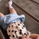 마에스트로 B.H.C 이미지