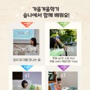 숲나교육 네이버블로그