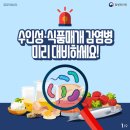 효원식품