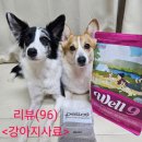 3well | (강아지 사료 추천)펠리코 well9 강아지 사료 급여 후기