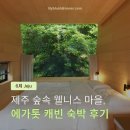 동인4가동경로당 | [Jeju] 제주 서귀포 에가톳 캐빈 숙박 후기ㅣ웰니스센터 호흡 명상, 요가 프로그램