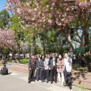 고성고등학교 이미지