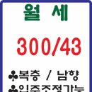서면한라부동산중개 이미지
