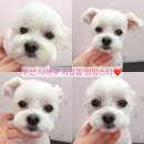 하단동174 이미지