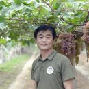 혜진네포도원 이미지