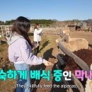 남주목장 이미지