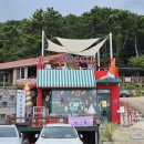 스위티펜션 | 해운대 아이스크림 송정 스위티에서 바다뷰 보며 아이스크림 먹어요