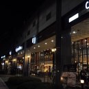 츄츄(chu chu) 이미지