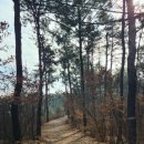 옥산제방 이미지