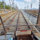 소프트 뱅크 | 3박4일 아니 2박3일 삿포로 여행: 결항으로 갑분 영종도 여행. 마이뱅크 여행자보험 결항보장 GOAT