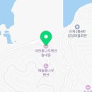 대천통나무펜션솔내음민박
