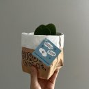 커디페이브
