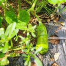 연희농장 이미지