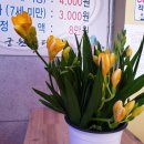 용궁원천탕 이미지