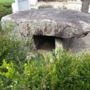 수입리 지석묘 이미지