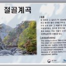 절골공원 Daum카페