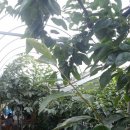 감나무집 농원펜션 이미지