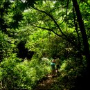 소금강주유소 이미지