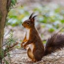 노블리스 골프아카데미 이미지