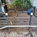 아연미용실 이미지