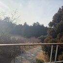 제주 마중 민박 | [제주 소길별하] 소품샵 &amp;카페 소길별하 : 효리네 민박 촬영지 상세리뷰 애견동반