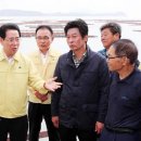 완도19호 이미지