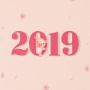 하슬라동물병원 이미지