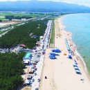 "텐트 148동에 주차는 1,500대 전부 공짜에요"... 8km 백사장 품은 여름 야영지 해변 이미지