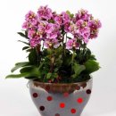 하동우리들병원 이미지