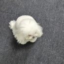 경명대로 | 영원히 쉬고 싶은 직장인의 연말연초 휴가