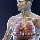 유리스힐링갤러리 이미지