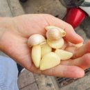대만 #타이베이 백종원 스트리트푸드파이터 #대창굴국수 #대만소세지 직접방문후기