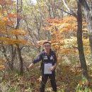 매화산목장 이미지