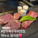 하누소뒷고기 | [부산 맛집] 명지국제신도시 소고기 맛집 하누소뒷고기 솔직후기