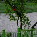 평창강펜션 이미지