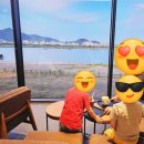 스타벅스 명지강변DT점 | 부산 노을맛집 카페✨ 명지 스타벅스 강변DT점 후기 💕 낙동강 통유리뷰+드라이브코스 추천 🐧🍰🌇☕