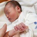 서울여성병원 | 대전 서울여성병원 제왕절개 후기 1인실 5박 6일