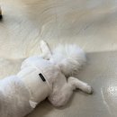 민들레하나한의원 | 8월 더워 🥵