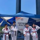 K-블랙벨트 태권도장 네이버블로그