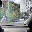 남항대교주유소 이미지