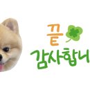 육회말연어부터 이미지