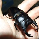 창진농장 이미지