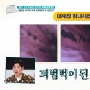 이세창 카카오 검색결과